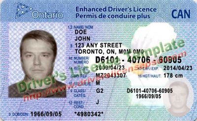 manitoba drivers license template